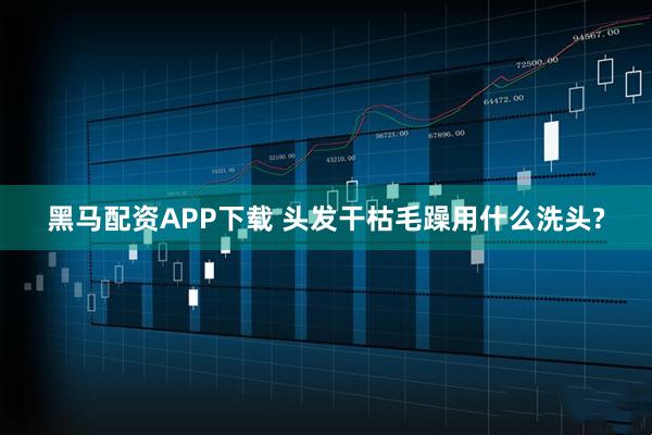 黑马配资APP下载 头发干枯毛躁用什么洗头?